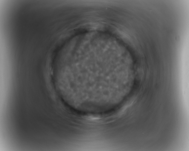 X0000088130913200706041316