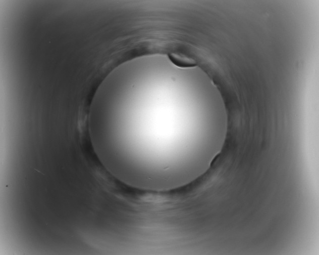 X0000088130914200706041316