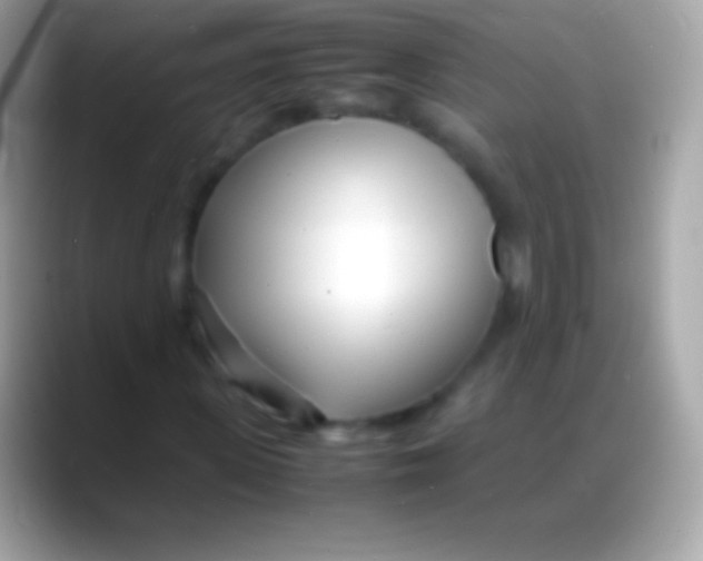 X0000088130915200706041316