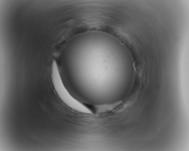 X0000088130916200706041316