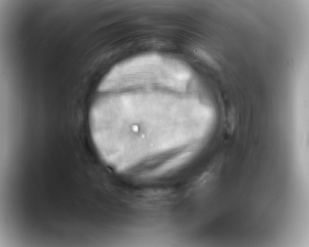 X0000088130917200706041316