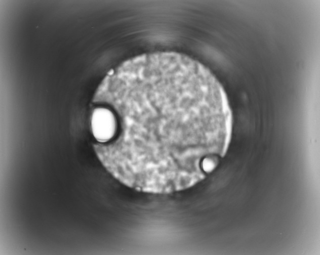 X0000088130918200706041316