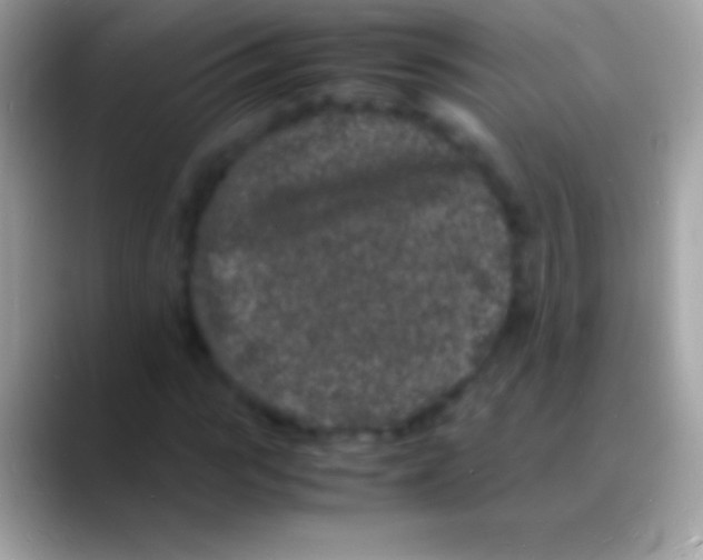 X0000088130919200706041316