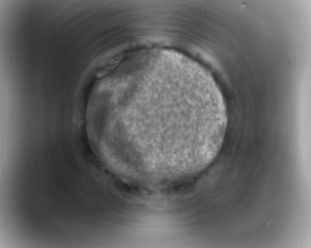 X0000088130920200706041316