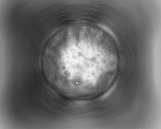 X0000088130921200706041316