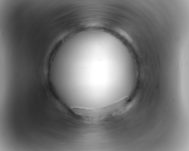 X0000088130922200706041316