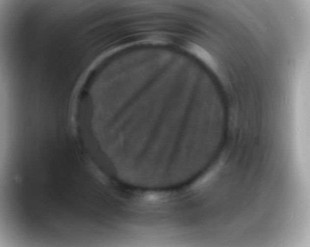 X0000088130923200706041316