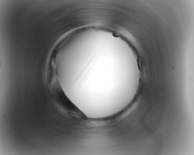 X0000088130924200706041316