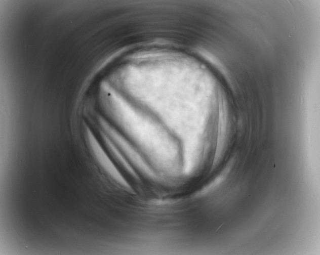 X0000088130925200706041316