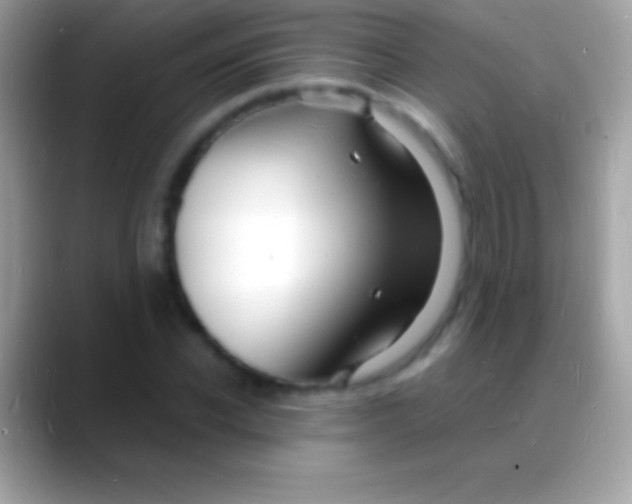 X0000088130926200706041316