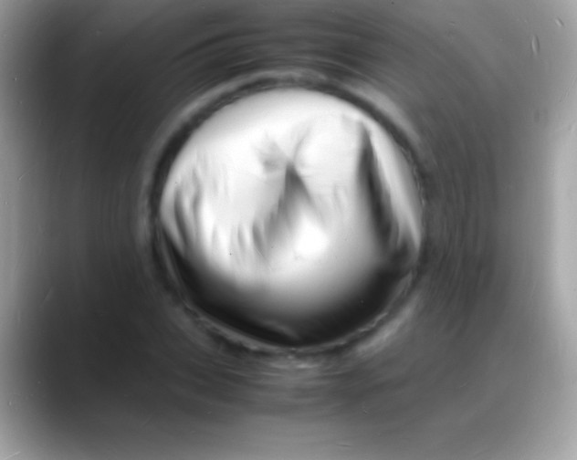 X0000088130927200706041316