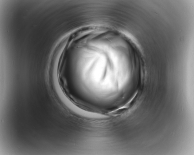 X0000088130928200706041316