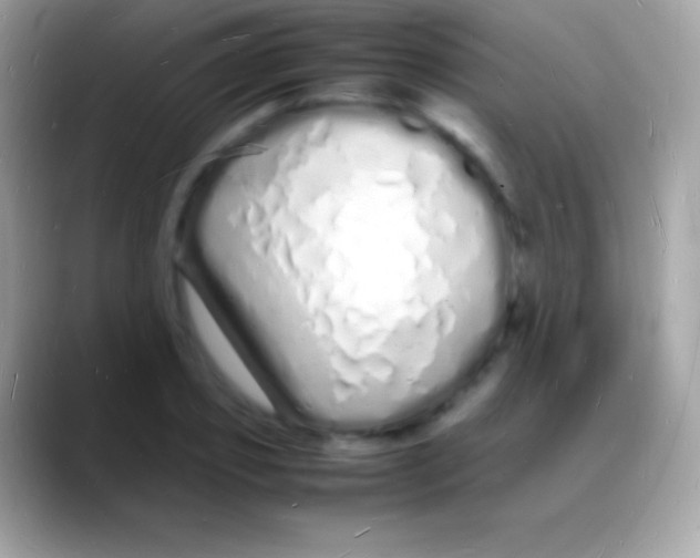 X0000088130933200706041316