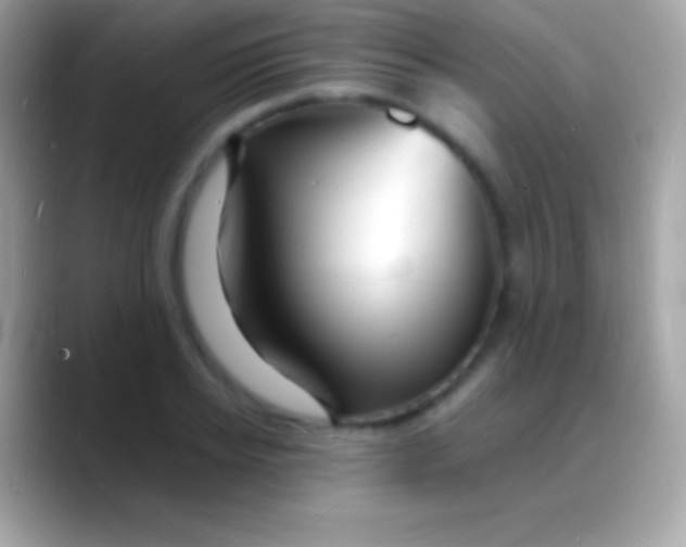 X0000088130934200706041316