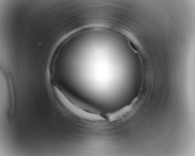 X0000088130936200706041316