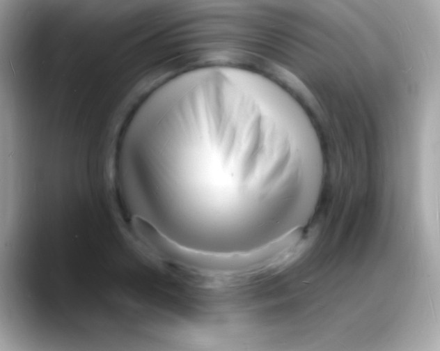 X0000088130938200706041316