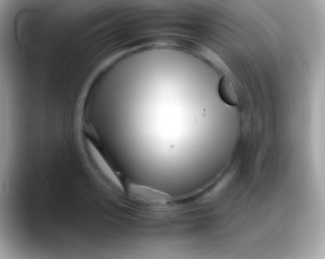 X0000088130939200706041316