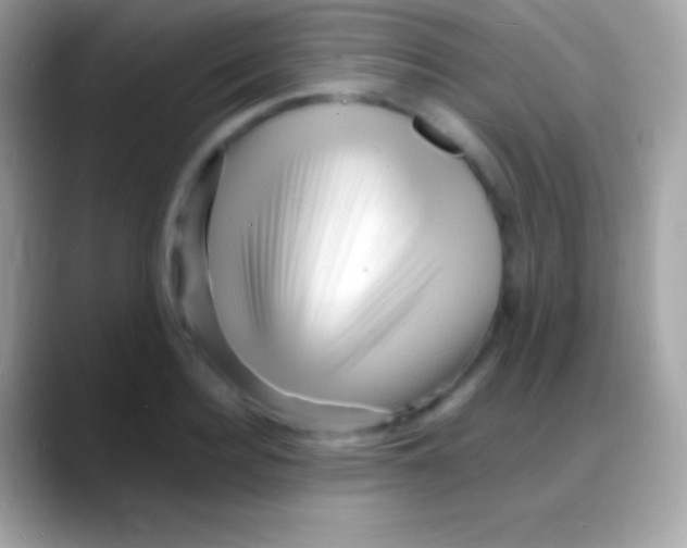 X0000088130940200706041316