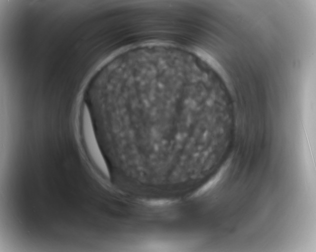 X0000088130941200706041316