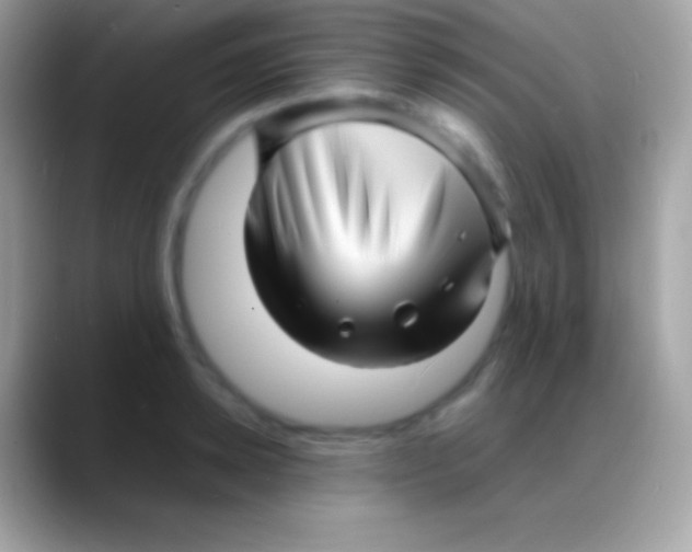 X0000088130942200706041316