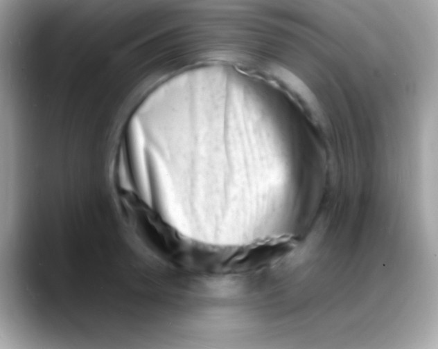 X0000088130946200706041316