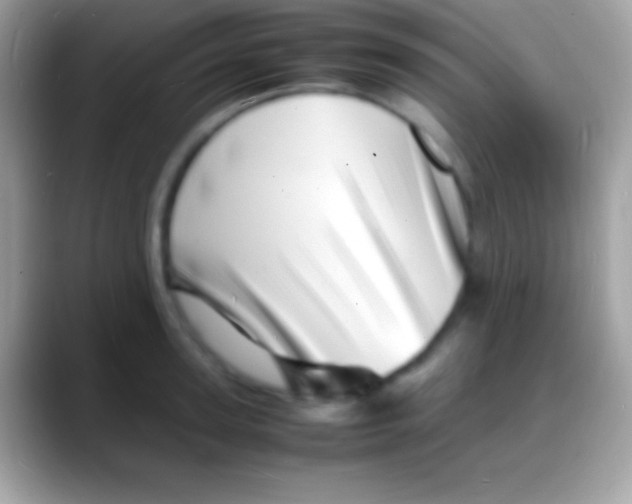 X0000088130947200706041316