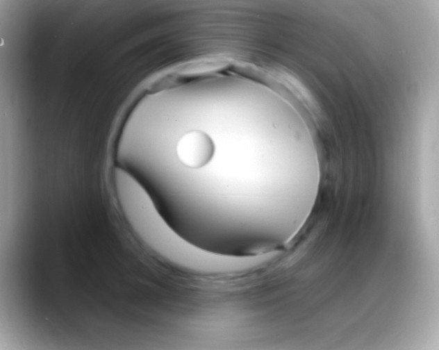 X0000088130948200706041316