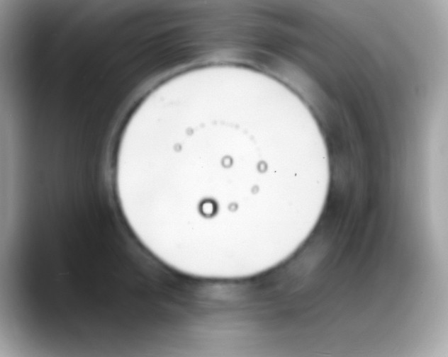 X0000088130950200706041316