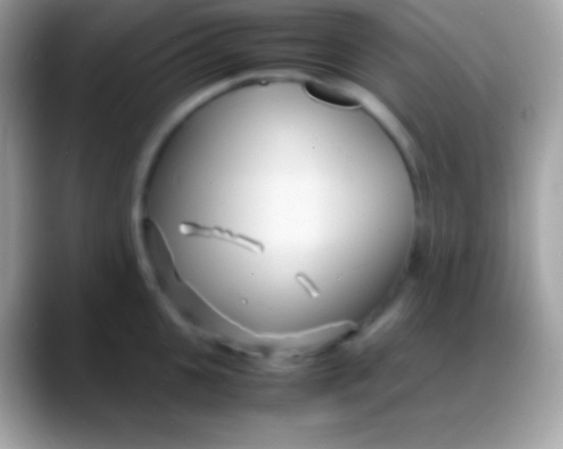 X0000088130951200706041316