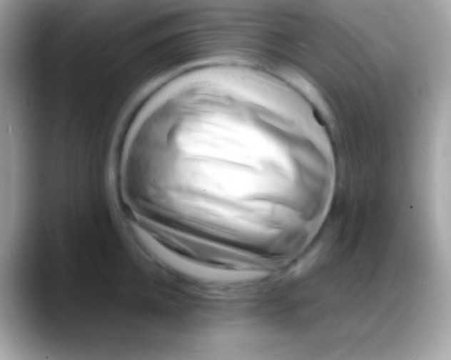 X0000088130952200706041316