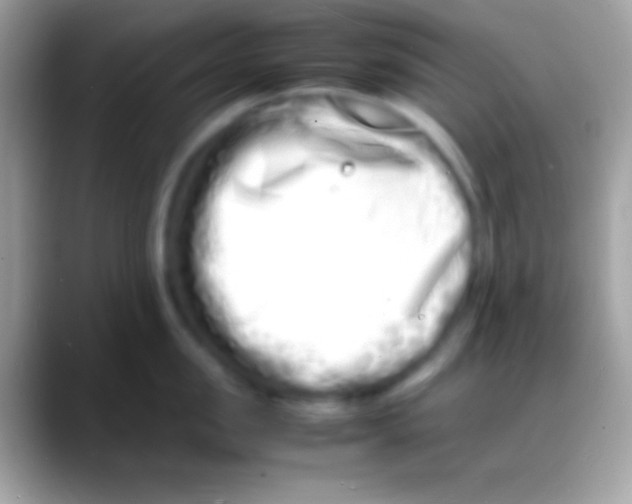 X0000088130957200706041316