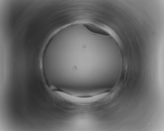 X0000088130958200706041316