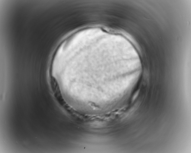 X0000088130959200706041316