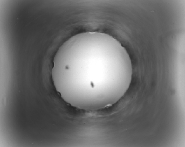 X0000088130961200706041316