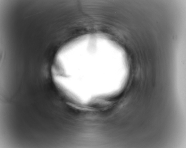 X0000088130962200706041316