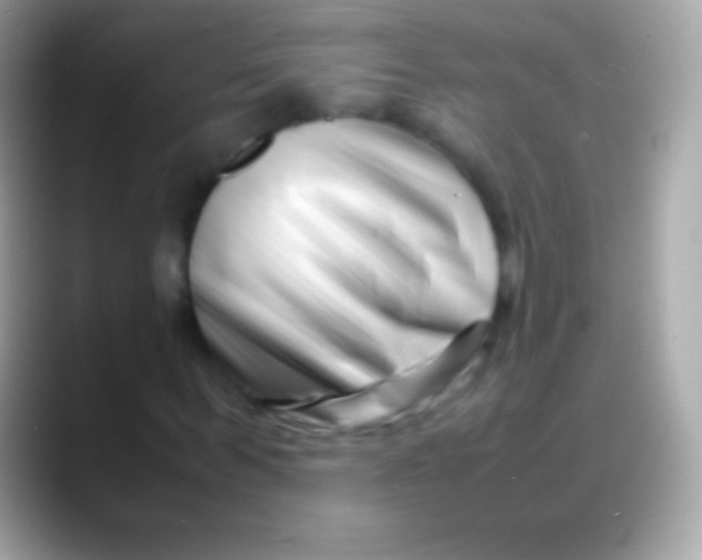 X0000088130963200706041316