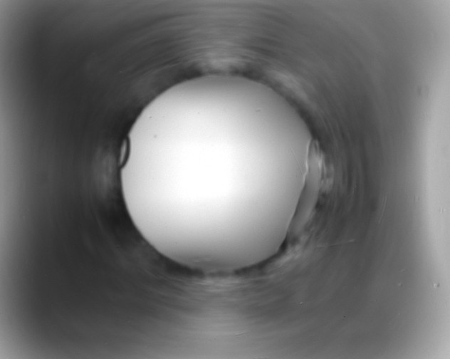 X0000088130964200706041316