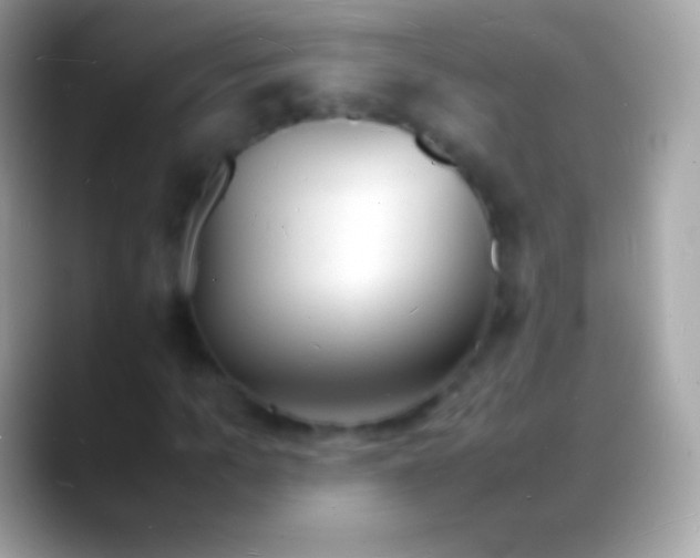 X0000088130965200706041316