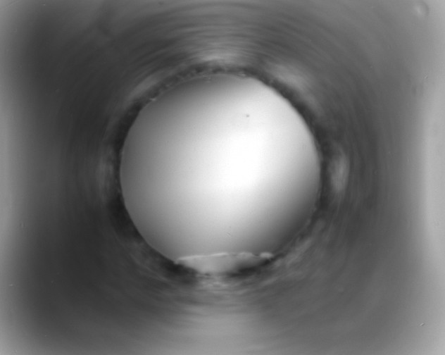 X0000088130968200706041316