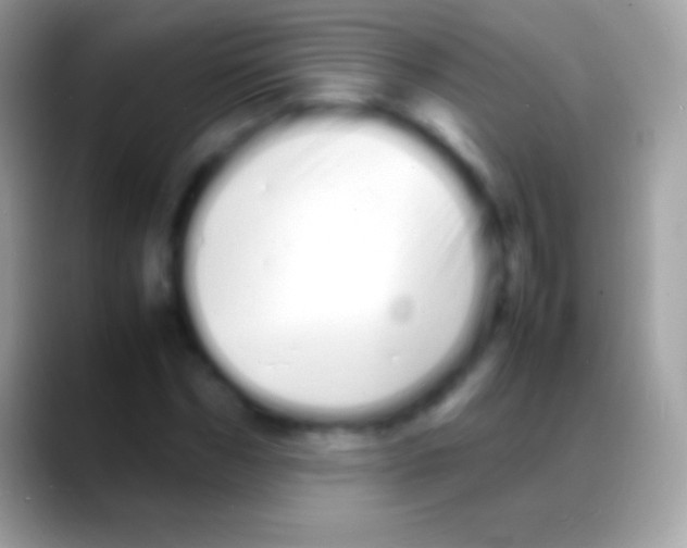 X0000088130970200706041316