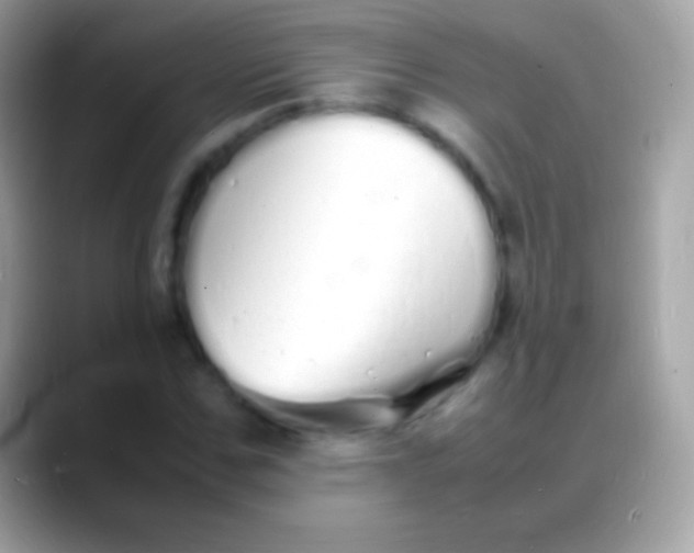 X0000088130971200706041316