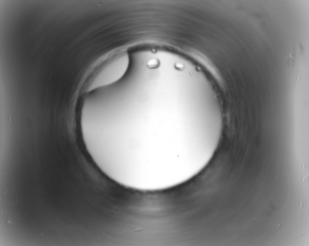 X0000088130972200706041316