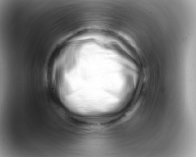 X0000088130974200706041316