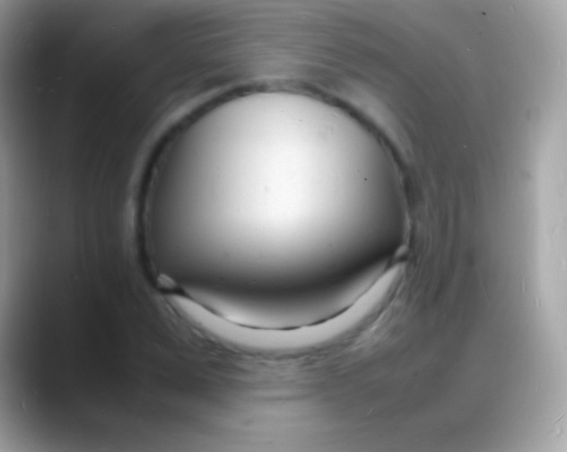 X0000088130975200706041316