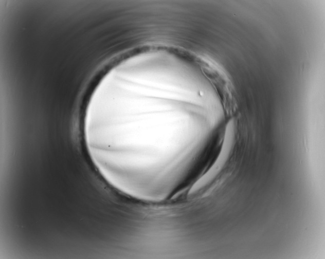 X0000088130976200706041316