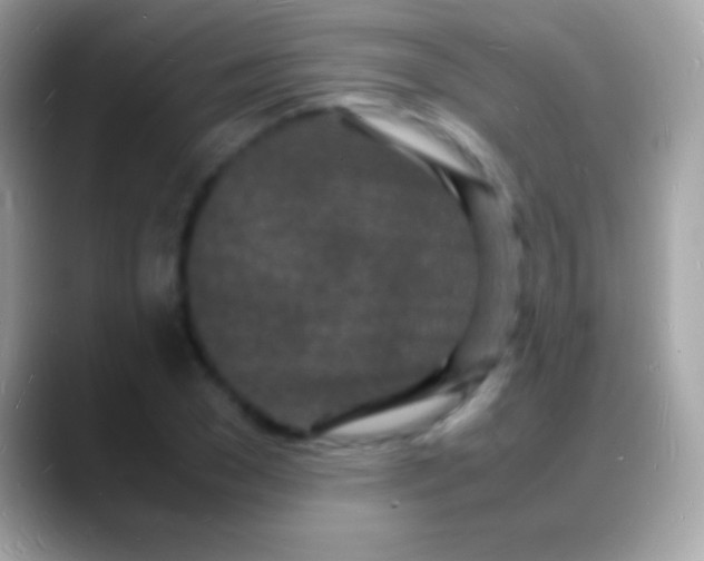 X0000088130977200706041316