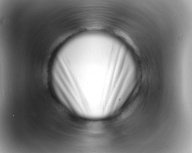 X0000088130978200706041316