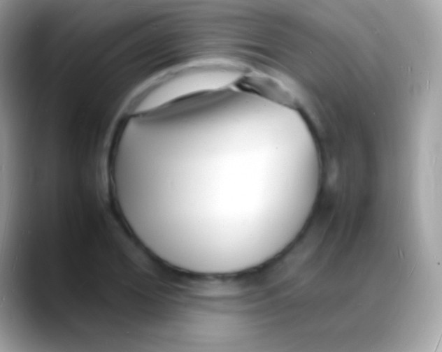 X0000088130980200706041316