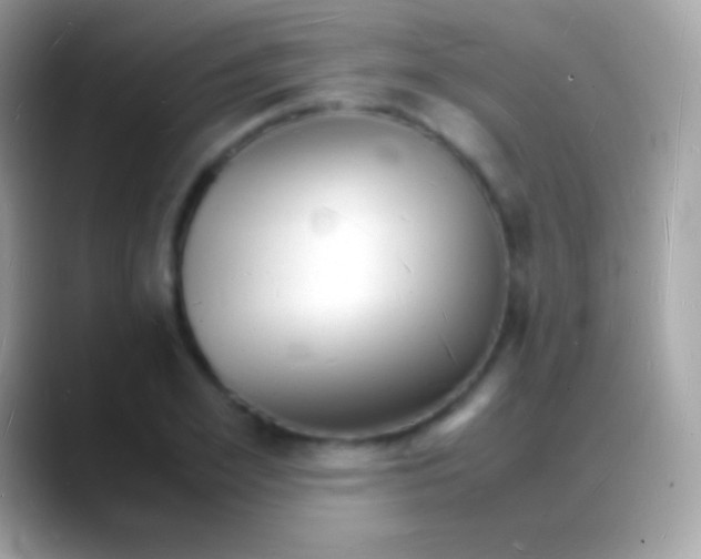 X0000088130981200706041316