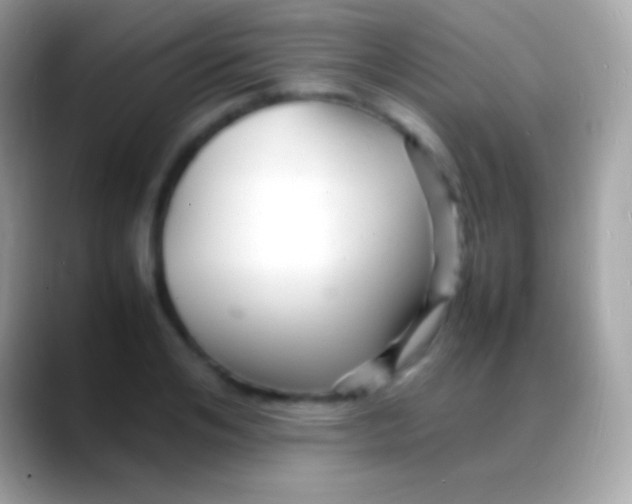 X0000088130984200706041316